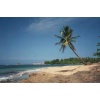 vacation_getaways