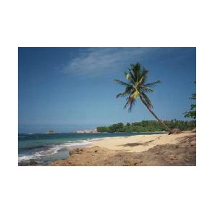 vacation_getaways